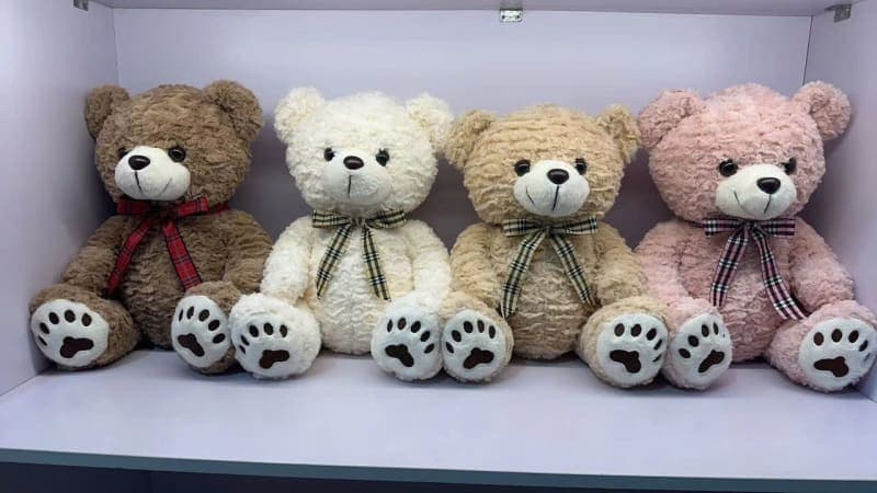 Gấu Teddy